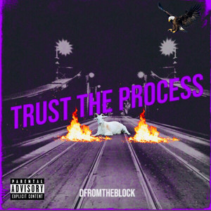 Trust the Process (Explicit)