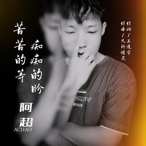 苦苦的等 痴痴的盼