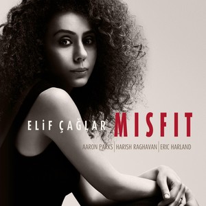 Grown Up(feat. Imer Demirer, Eric Harland, Harish Raghavan & Aaron Parks)