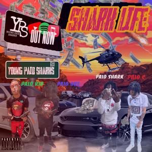 YOUNG PAID SHARKS - OUT OF LUCK (PAID DRE) (Explicit)