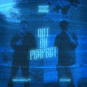 Not So Perfect(feat. zxnz) (Explicit)