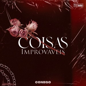 Coisas Improváveis