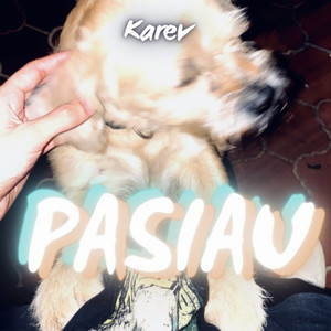 PASIAU (Explicit)