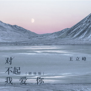 王立峰 - 对不起我爱你 (剧场版)