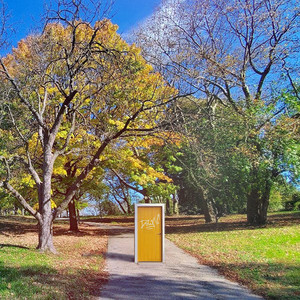 Falling Stories (Explicit)