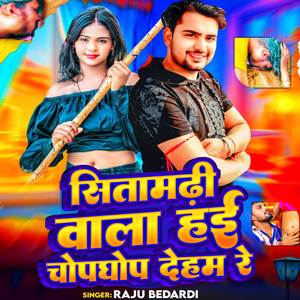 Sitamarhi Wala Hai Chopghop Deham Re