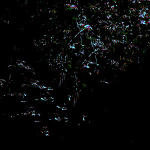 Interstellar Neighborhood