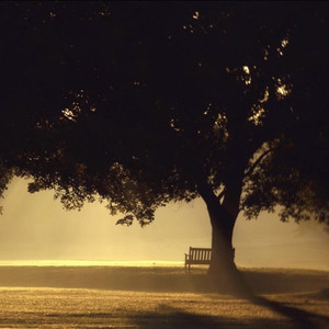 给电影人的情书