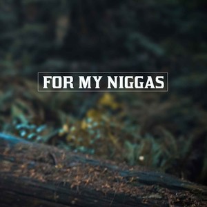 For My Niggas (Explicit)