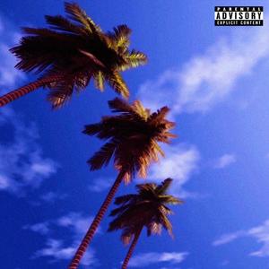 Ii Dam Foc(feat. Trib) (Remix|Explicit)