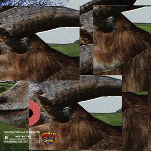 RANT (feat. COCO M) (Explicit)