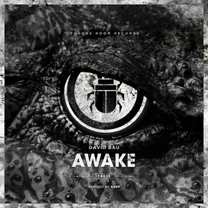 Awake (KUSP|UK|Remix)