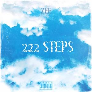 222 STEPS (Explicit)
