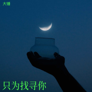 只为找寻你