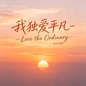 我独爱平凡-Love the Ordinary (DJ奈斯版)