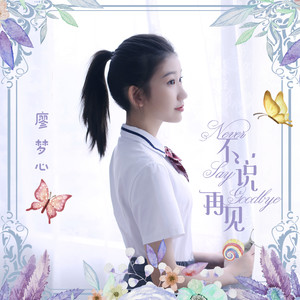 不说再见 (伴奏)