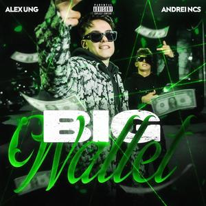 Big Wallet (feat. Andrei Ncs) [Explicit]