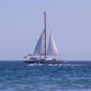 Dime que me quieres(feat. Mon Lee Mane, Sarah Abad, Svetlana Bakushina, Leo Cappi & Carlos Severiche)