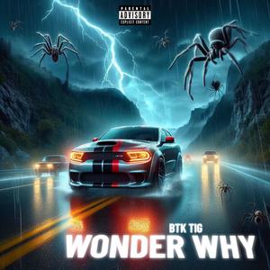 Wonder Why (Explicit)