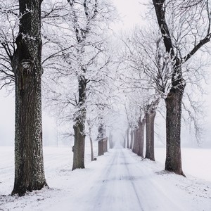 Dashing Through the Snow