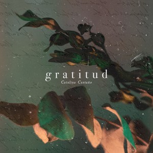 Gratitud