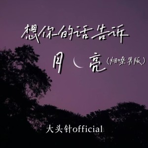 大头针 Official - 想你的话告诉月亮 (烟嗓男版)