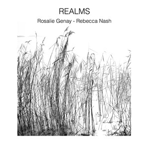 Realms (领域)