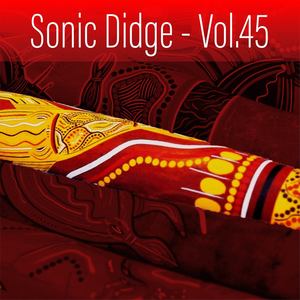 Sonic Didge, Vol. 45 (Explicit)