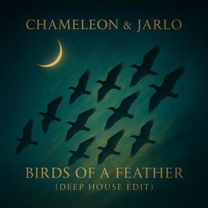 Birds Of A Feather (Deep House Edit) (Explicit)