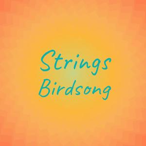 Strings Birdsong