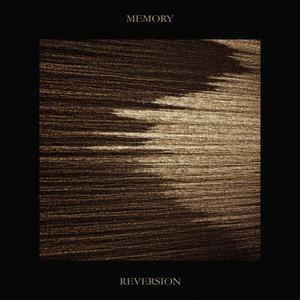 Reversion (Extended Version)