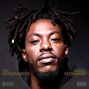 Introverted Extrovert (Explicit)