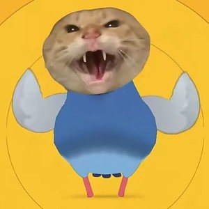 我的鸽子很曼妙（拼好歌）