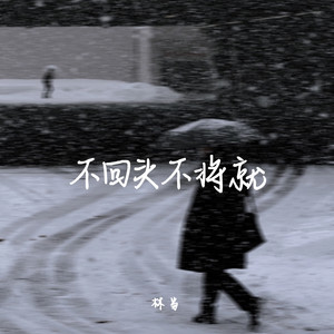 不回头不将就-林当
