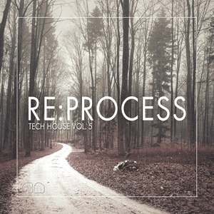 Re:Process - Tech House, Vol. 5