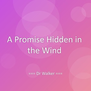 A Promise Hidden in the Wind