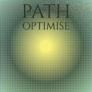 Path Optimise