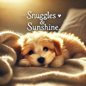 Snuggles & Sunshine