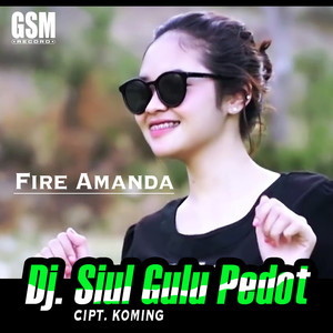 DJ Siul Gulu Pedot