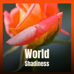 World Shadiness