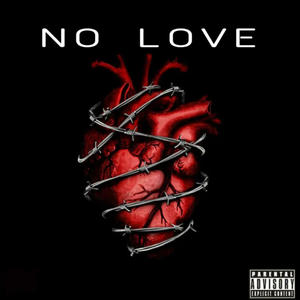 NO LOVE (feat. Official.Dizzie) (Explicit)