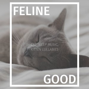 Feline Good: Cat Sleep Music, Kitten Lullabies