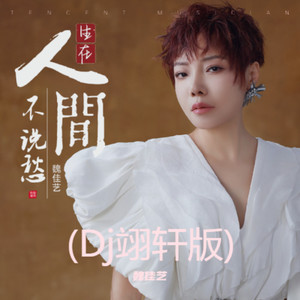 生在人间不说愁 (Dj翊轩版)封面