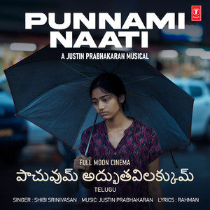 Punnami Naati