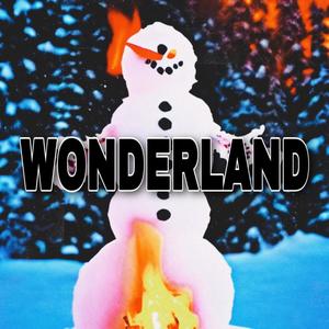 WONDERLAND (feat. AM-G2)