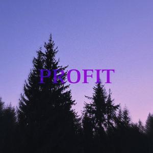 Profit (Explicit)