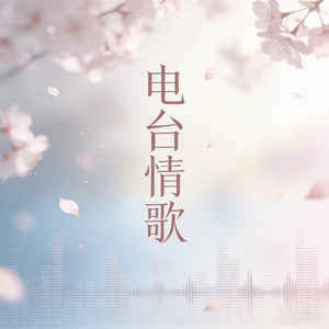 电台情歌 (烟嗓走心版)