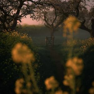 想你的话你会出现吗