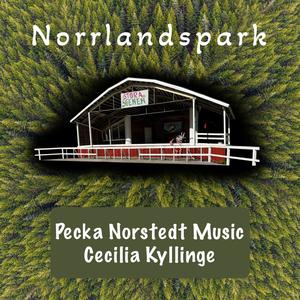 Norrlandspark (feat. Arne Almen, Jonas Nilsson, Fredrik Bobr, Kenneth Kjellgren & Annie Persson)