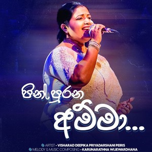 Pin Purana Amma